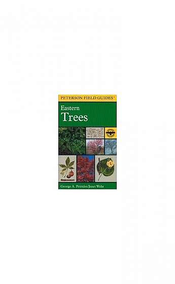 Coperta cărții A Field Guide to Eastern Trees: Eastern United States and Canada, Including the Midwest