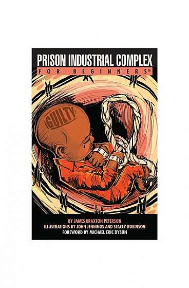 Prison Industrial Complex for Beginners