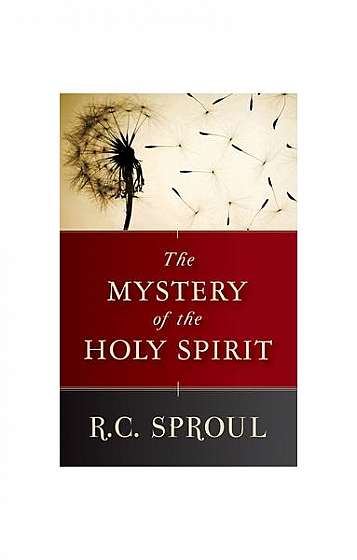 The Mystery of the Holy Spirit