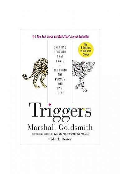 Triggers: How Behavior Change Begins, How to Make It Meaningful, How to Make It Last