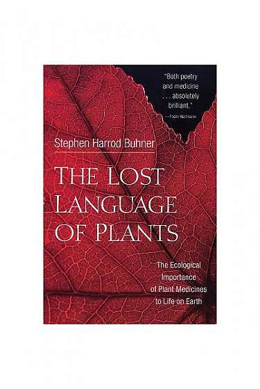 The Lost Language of Plants: The Ecological Importance of Plant Medicines to Life on Earth