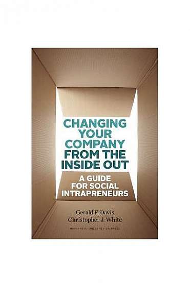 Changing Your Company from the Inside Out: A Guide for Social Intrapreneurs