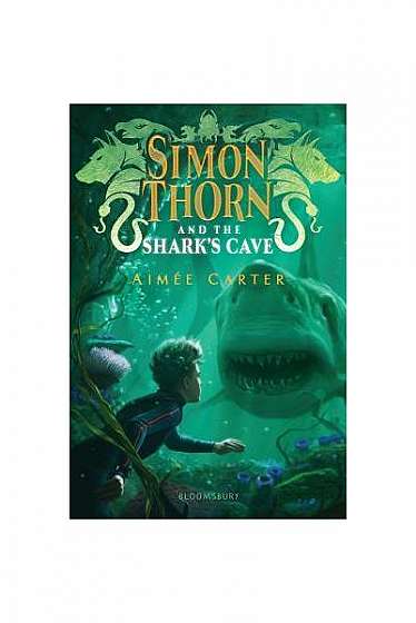 Simon Thorn and the Shark's Cave