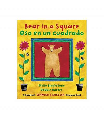 Bear in a Square/Oso En Un Cuadrado