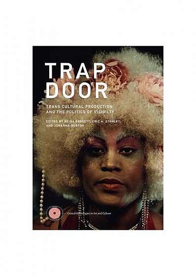 Trap Door: Trans Cultural Production and the Politics of Visibilty