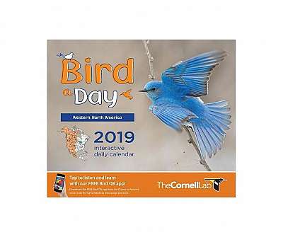 Bird-A-Day 2019 Daily Calendar: Western North America