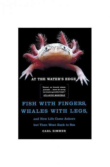 At the Water's Edge: Fish with Fingers, Whales with Legs, and How Life Came Ashore But Then Went Back to Sea