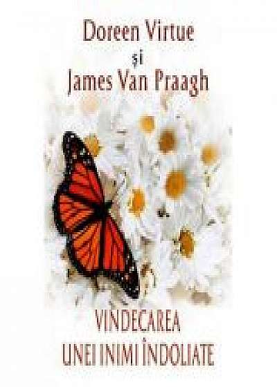 Vindecarea unei inimi indoliate - Doreen Virtue, James van Praagh
