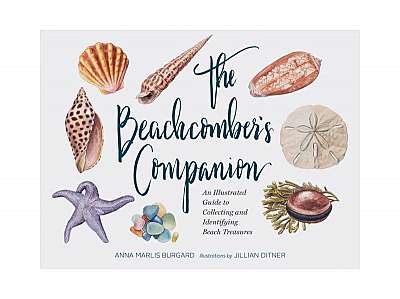 Coperta cărții The Beachcomber's Companion: An Illustrated Guide to Collecting and Identifying Beach Treasures