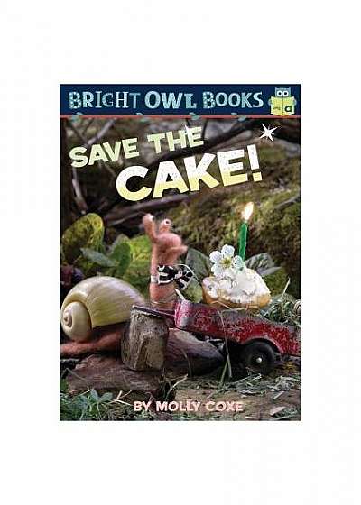 Save the Cake!: Long Vowel a