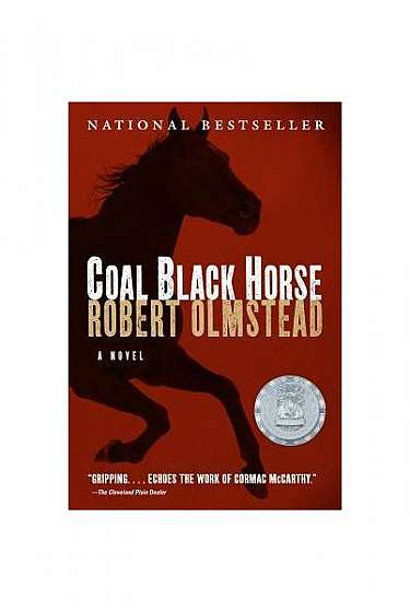 Coal Black Horse