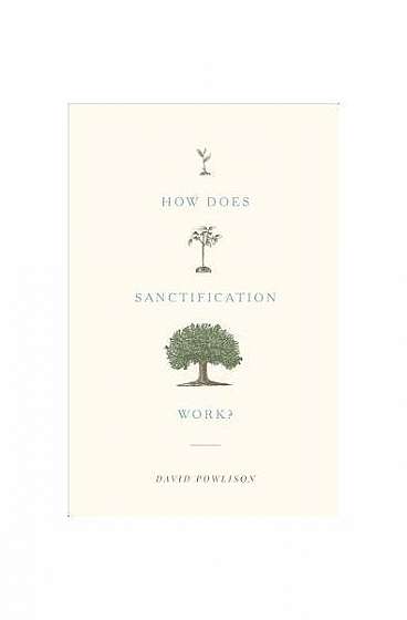 How Does Sanctification Work?