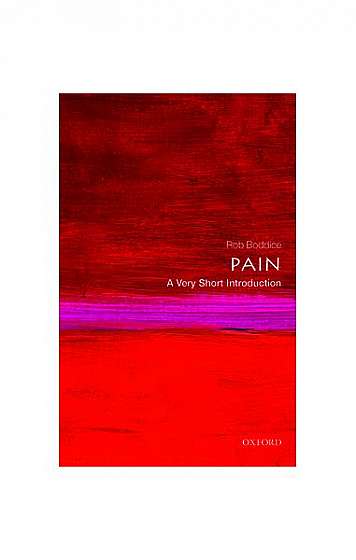 Pain: A Very Short Introduction