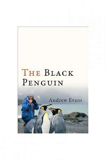 The Black Penguin