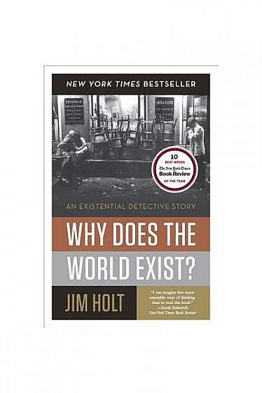 Why Does the World Exist?: An Existential Detective Story