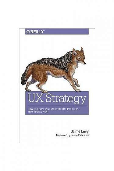 UX Strategy: How to Devise Innovative Digital Products That People Want