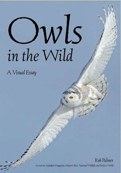 Coperta cărții Owls in the Wild: A Visual Tour