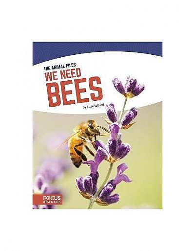 We Need Bees