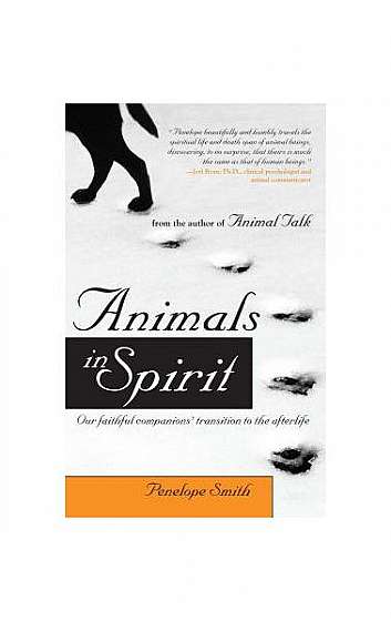 Animals in Spirit: Our Faithful Companions' Transition to the Afterlife