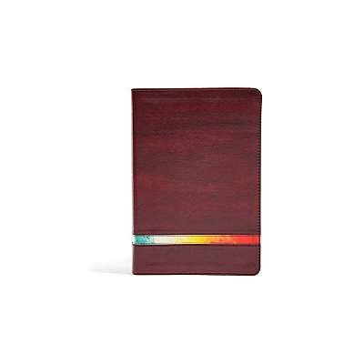 NIV Rainbow Study Bible, Maroon Leathertouch