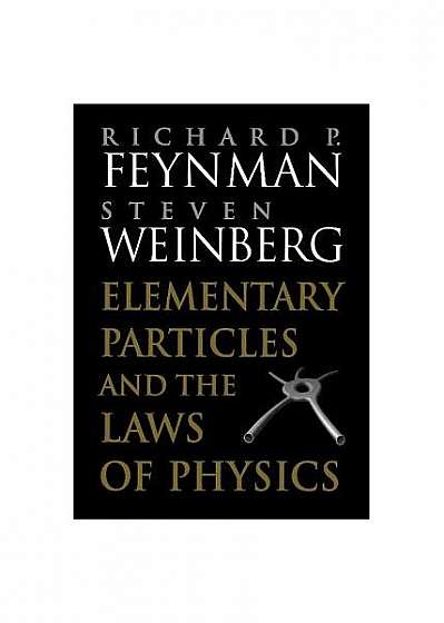 Coperta cărții Elementary Particles and the Laws of Physics: The 1986 Dirac Memorial Lectures