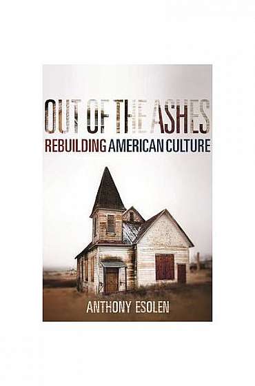 Out of the Ashes: A Layman's Guide to Rebuilding Our Culture