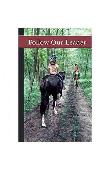 Sonrise Stable: Follow Our Leader