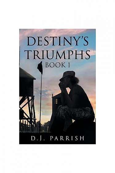 Coperta cărții Destiny's Triumphs: Book 1