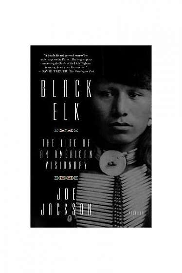 Black Elk: The Life of an American Visionary