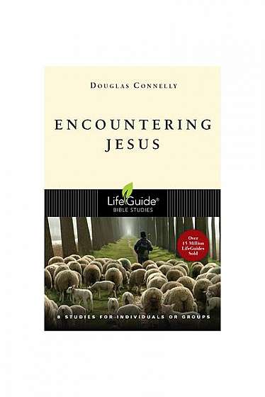 Coperta cărții Encountering Jesus