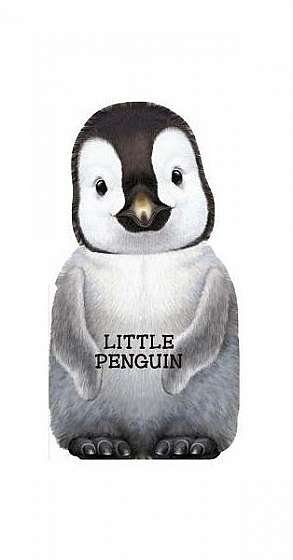 Coperta cărții Little Penguin