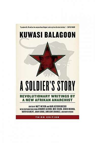 A Soldier's Story: Revolutionary Writings by a New Afrikan Anarchist