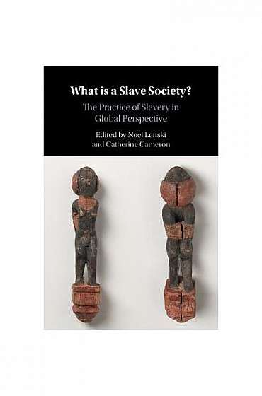 Coperta cărții What Is a Slave Society?: The Practice of Slavery in Global Perspective