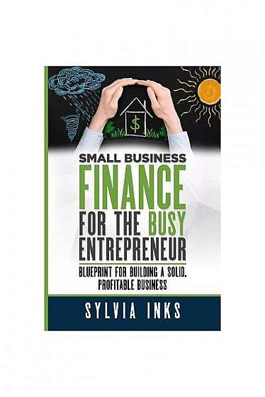 Small Business Finance for the Busy Entrepreneur: Blueprint for Building a Solid, Profitable Business