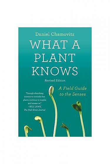 What a Plant Knows: A Field Guide to the Senses: Revised Edition