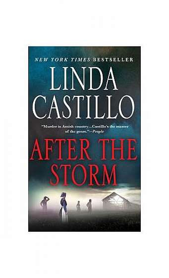 After the Storm: A Kate Burkholder Novel