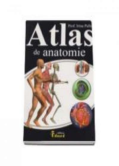 Atlas de anatomie SCOLAR ( Irina Paller )
