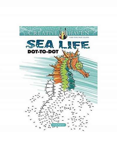 Creative Haven Sea Life Dot-To-Dot
