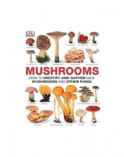 Mushrooms: How to Identify and Gather Wild Mushrooms and Other Fungi