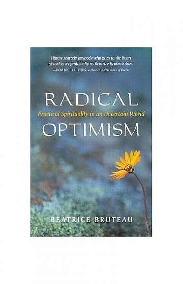 Radical Optimism: Practical Spirituality in an Uncertain World