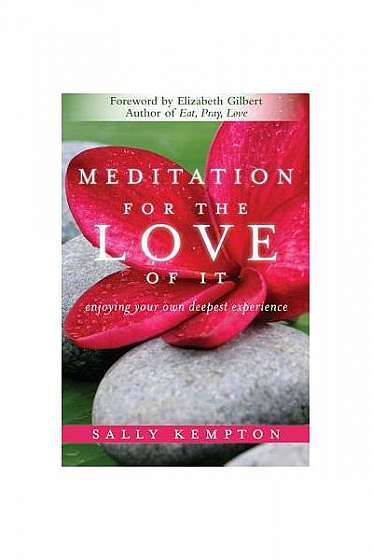 Coperta cărții Meditation for the Love of It: Enjoying Your Own Deepest Experience
