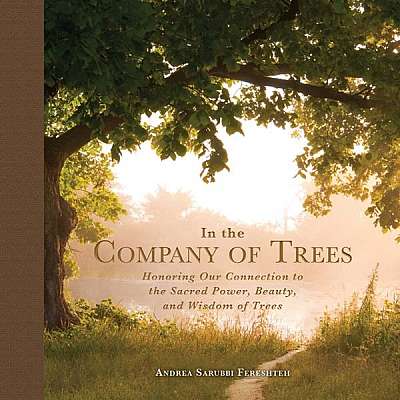 In the Company of Trees: Honoring Our Connection to the Sacred Power, Beauty, and Wisdom of Trees