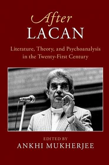 After Lacan: Literature, Theory and Psychoanalysis in the 21st Century