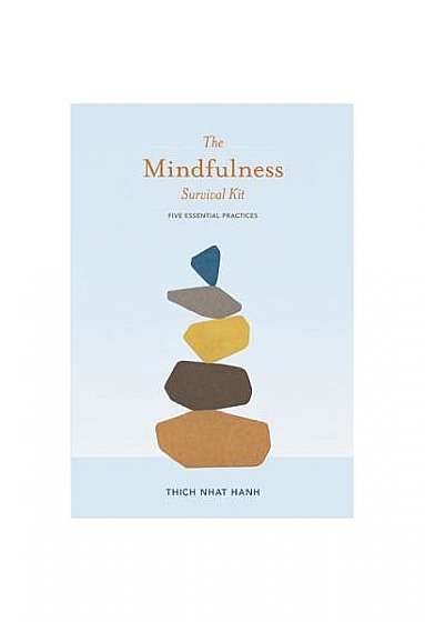 The Mindfulness Survival Kit: Five Essential Practices