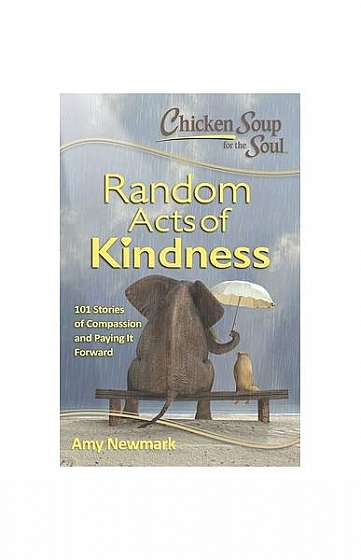 Chicken Soup for the Soul: Hidden Heroes: 101 Stories about Random Acts of Kindness and Doing the Right Thing
