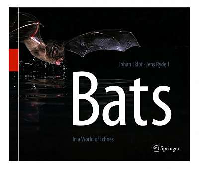 Bats: In a World of Echoes