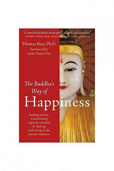 The Buddha's Way of Happiness: Healing Sorrow, Transforming Negative Emotion & Finding Well-Being in the Present Moment