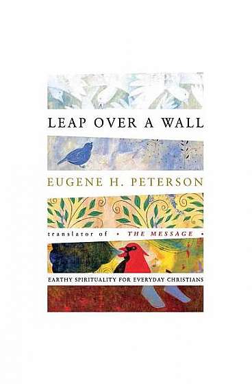 Leap Over a Wall: Earthy Spirituality for Everyday Christiansreflections on the Life of David from
