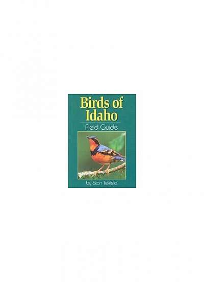 Birds of Idaho Field Guide