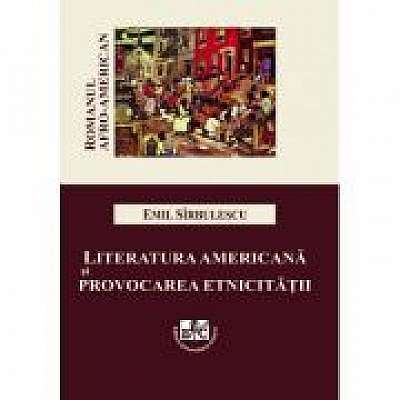 Literatura americana si provocarea etnicitatii. Romanul Afro-American